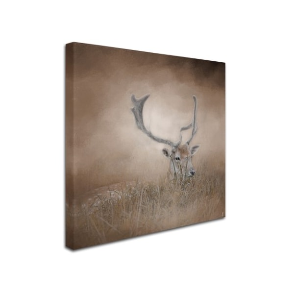 Jai Johnson 'In Plain Sight Sika Deer' Canvas Art,18x18